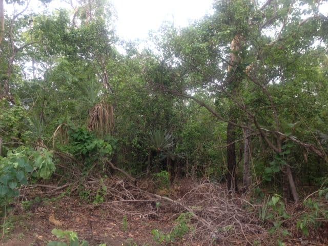 Lot 3125 82 Zuleika Road, Dundee Beach NT 0840, Dundee Beach - Thumbnail 4