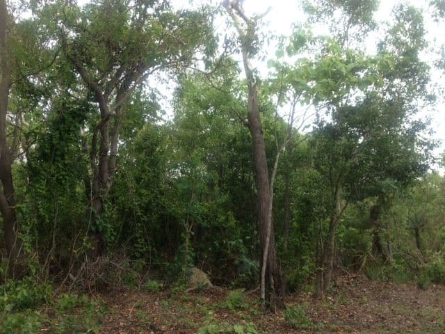 Lot 3125 82 Zuleika Road, Dundee Beach NT 0840, Dundee Beach - Thumbnail 8