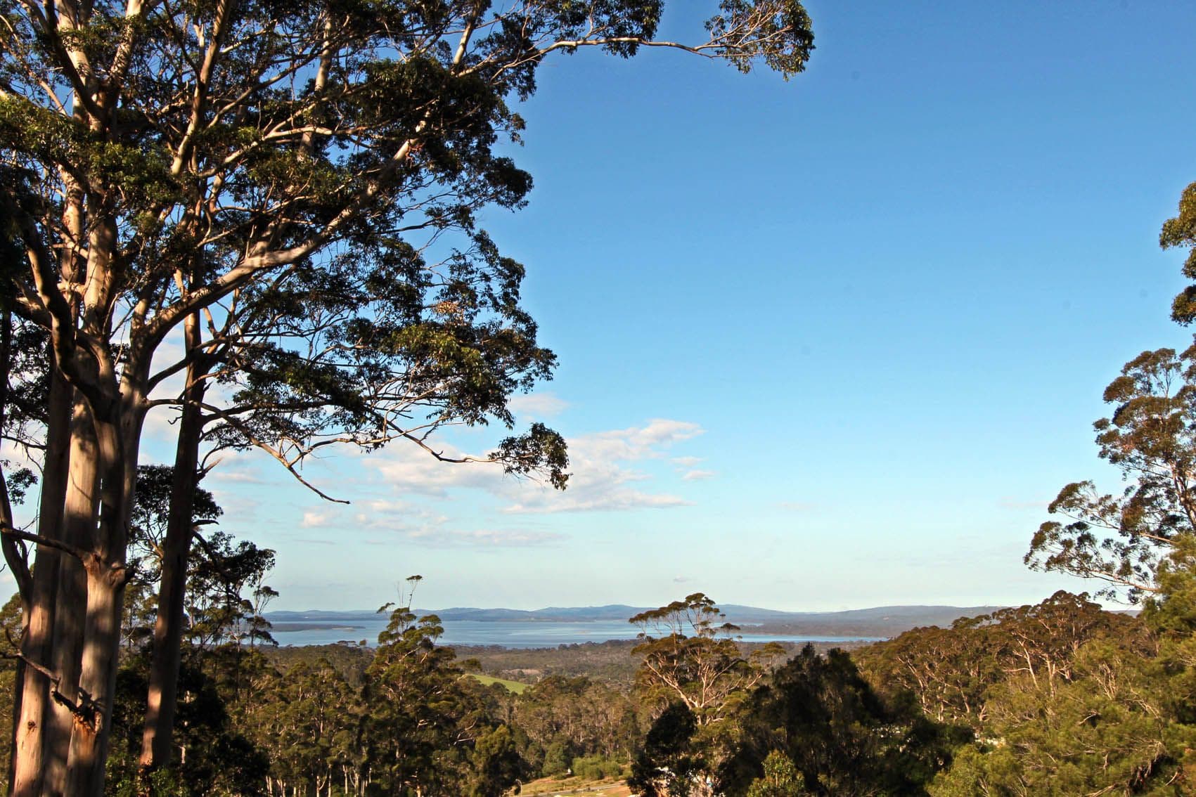 118 Cussons Road, Denmark WA 6333, Denmark - Thumbnail 2