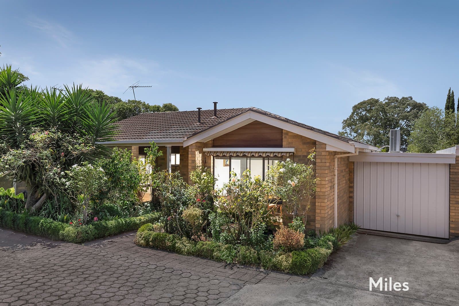 3/38-40 Banksia Street, Heidelberg, Heidelberg - Thumbnail 3