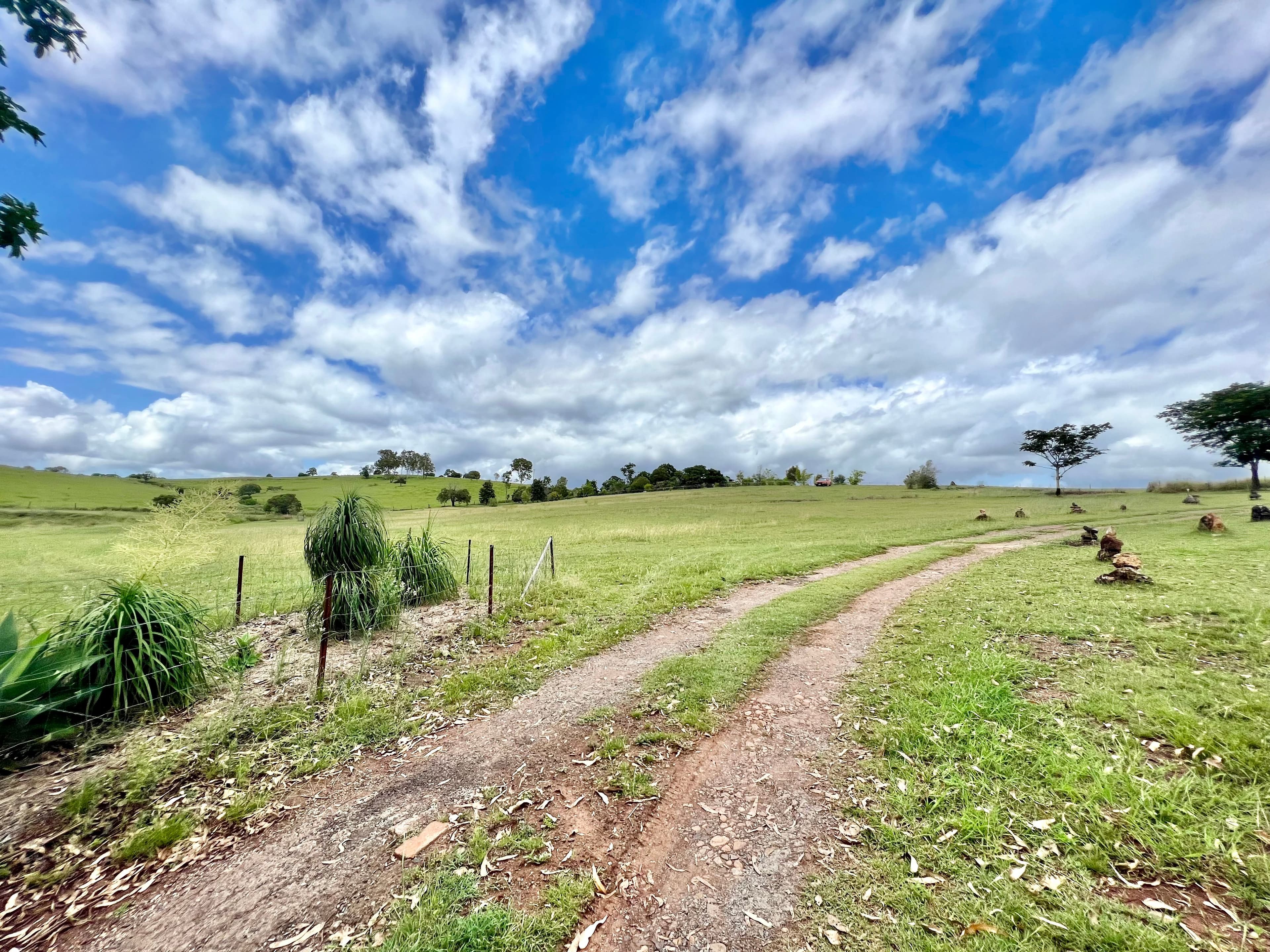 70 Goodnight Scrub Road, Morganville QLD 4671, Morganville - Thumbnail 2