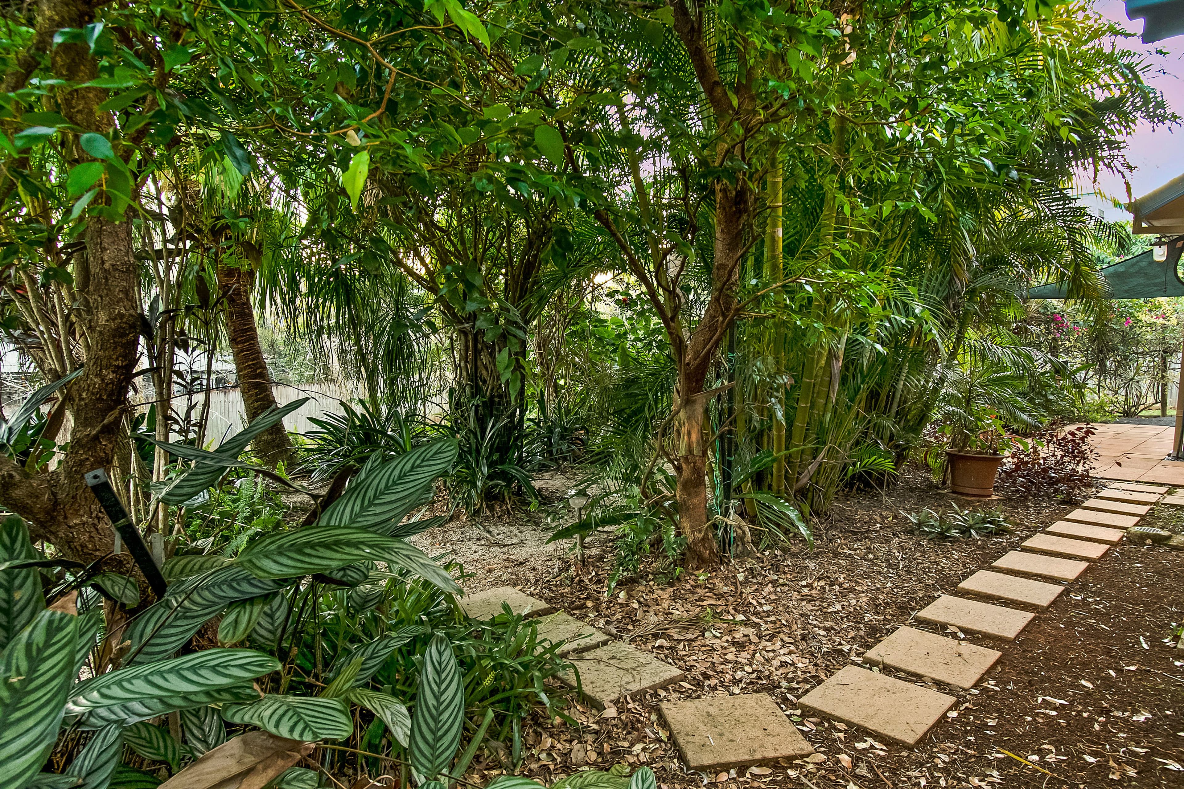 12 Bangalay Court, Bangalow - Thumbnail 5