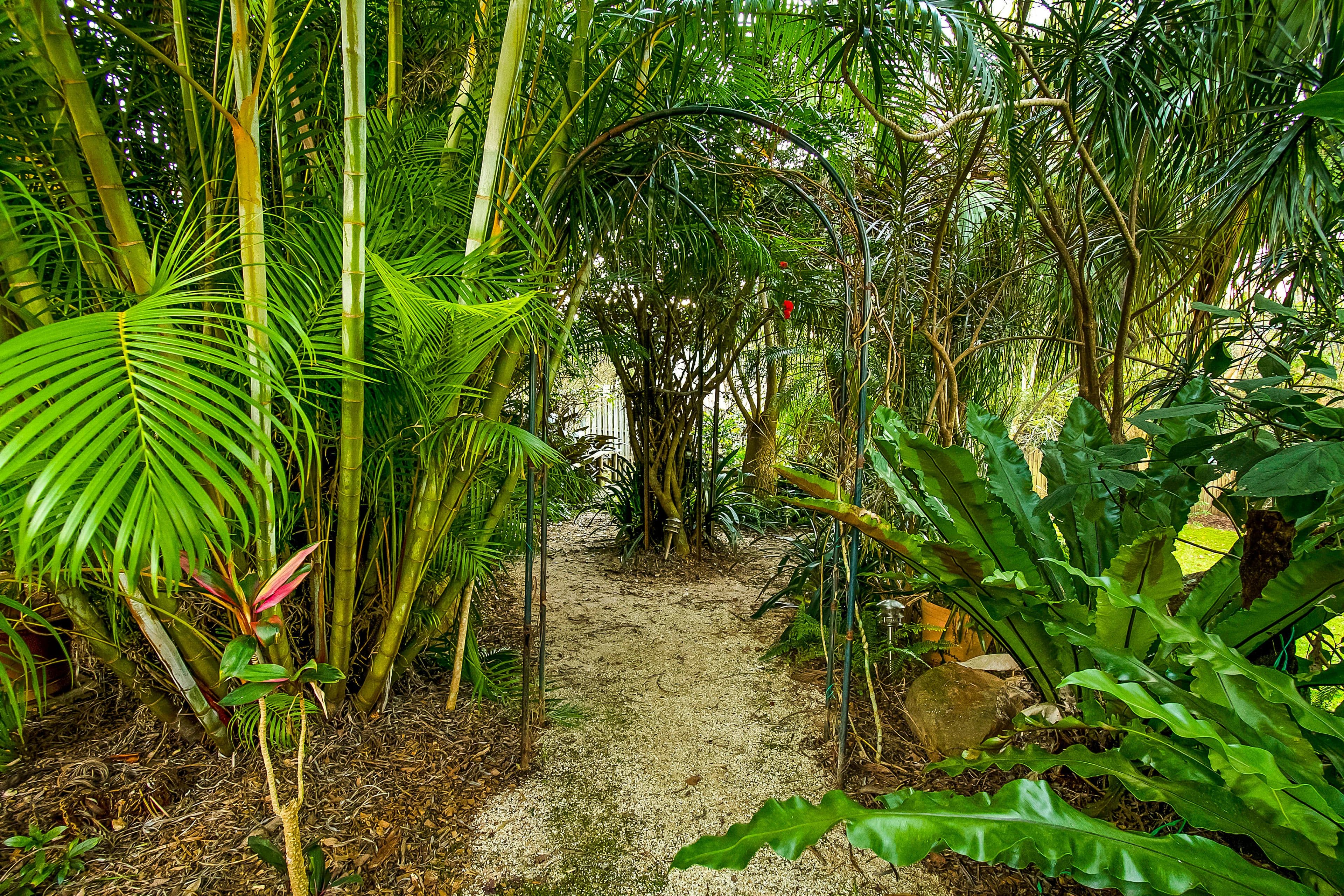 12 Bangalay Court, Bangalow - Thumbnail 6