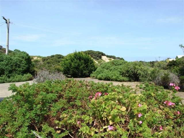 26 Fern Avenue, SURF BEACH VIC 3922, Surf Beach - Thumbnail 2