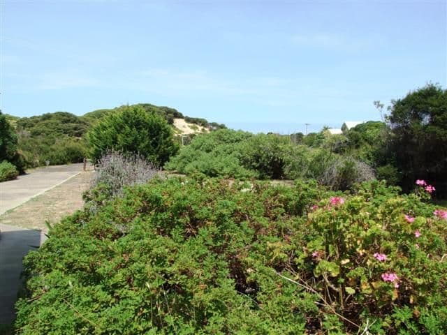 26 Fern Avenue, SURF BEACH VIC 3922, Surf Beach - Thumbnail 3