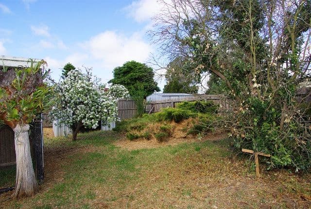 7 Lloyd Street, BELMONT VIC 3216, Belmont - Thumbnail 8