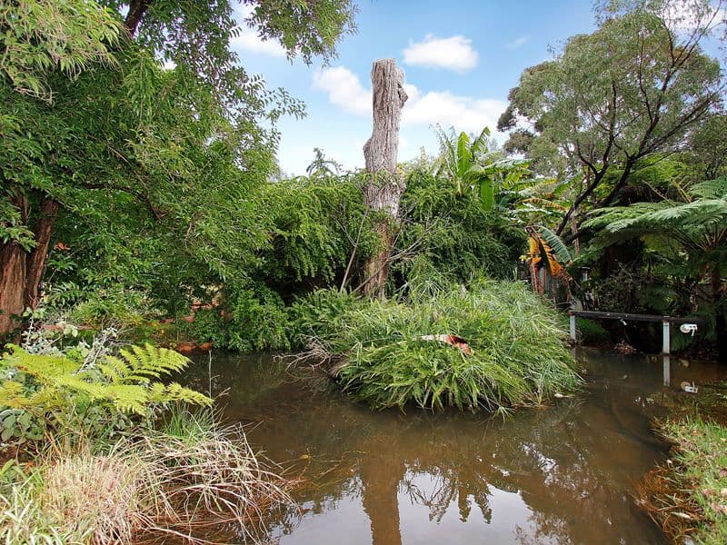 8 Kimbarlee Way, LESMURDIE WA 6076, Lesmurdie - Thumbnail 7