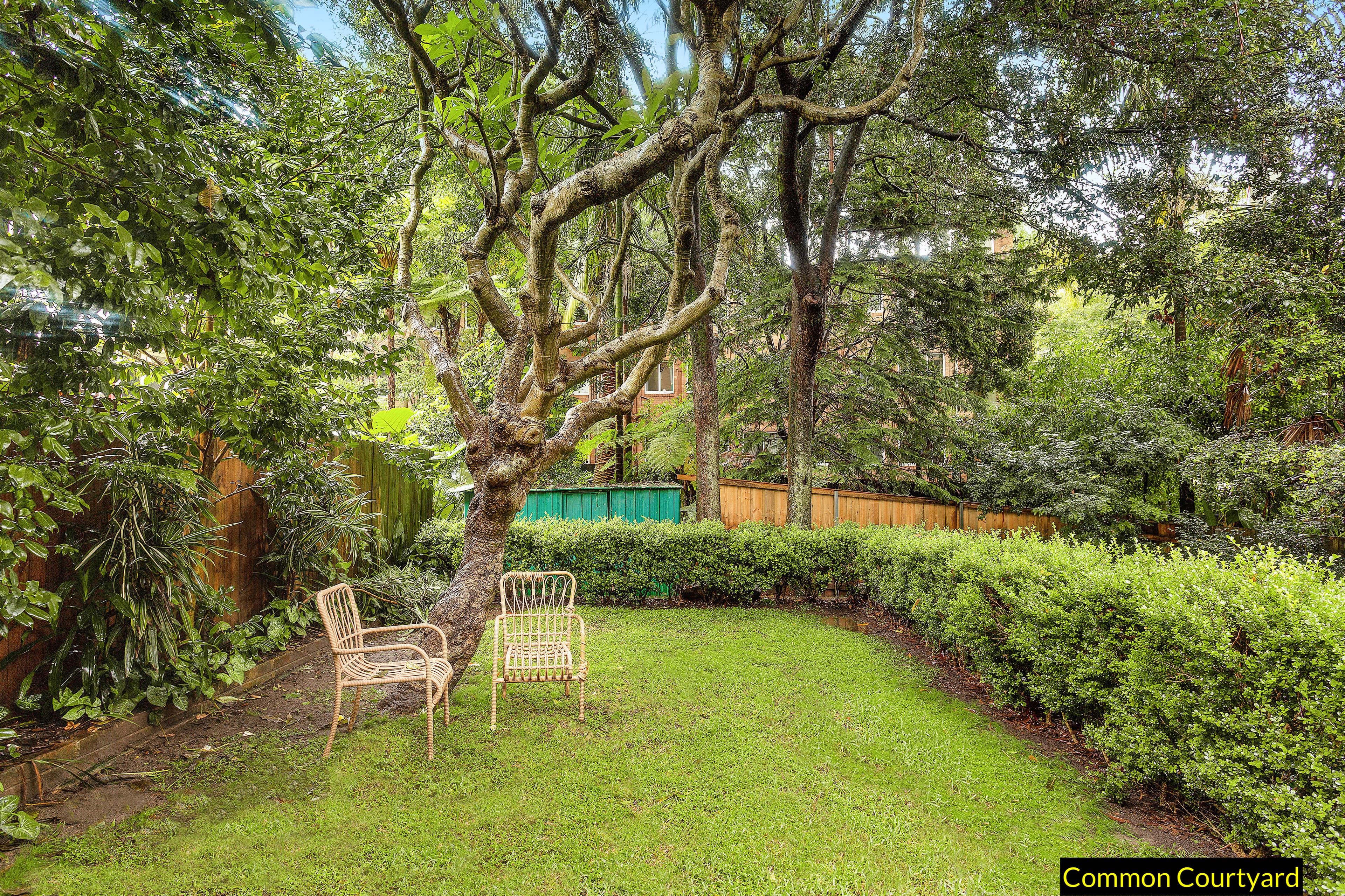 3 Bates Avenue, Paddington NSW 2021, Paddington - Thumbnail 5
