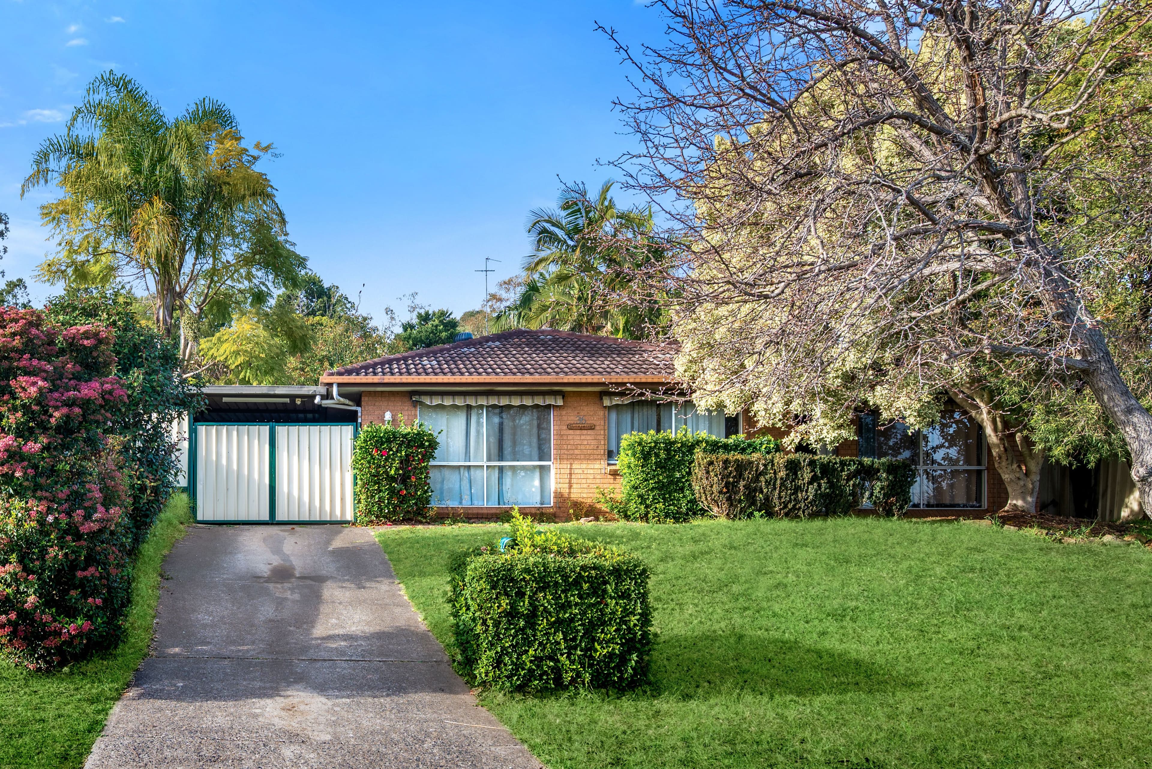 36 Randall Avenue, Minto NSW 2566, Minto - Image 1