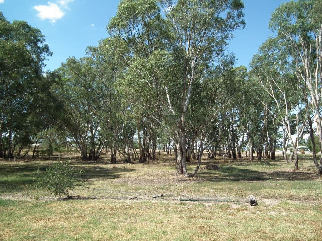 238 High Street, Nagambie VIC 3608, Nagambie - Thumbnail 8
