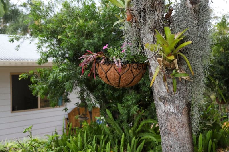 134 Panorama Drive, Rosemount - Thumbnail 6