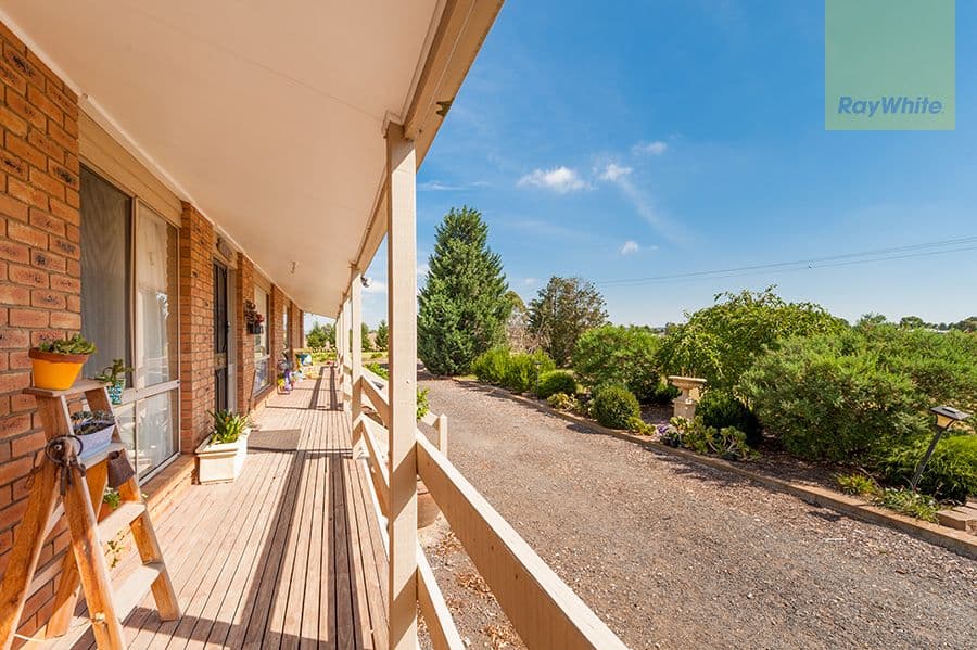 19 Coomera Crescent, Miandetta, Miandetta - Thumbnail 4