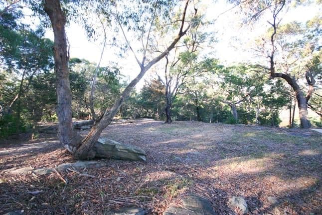 13 Foreman Place, BARDEN RIDGE NSW 2234, Barden Ridge - Thumbnail 5