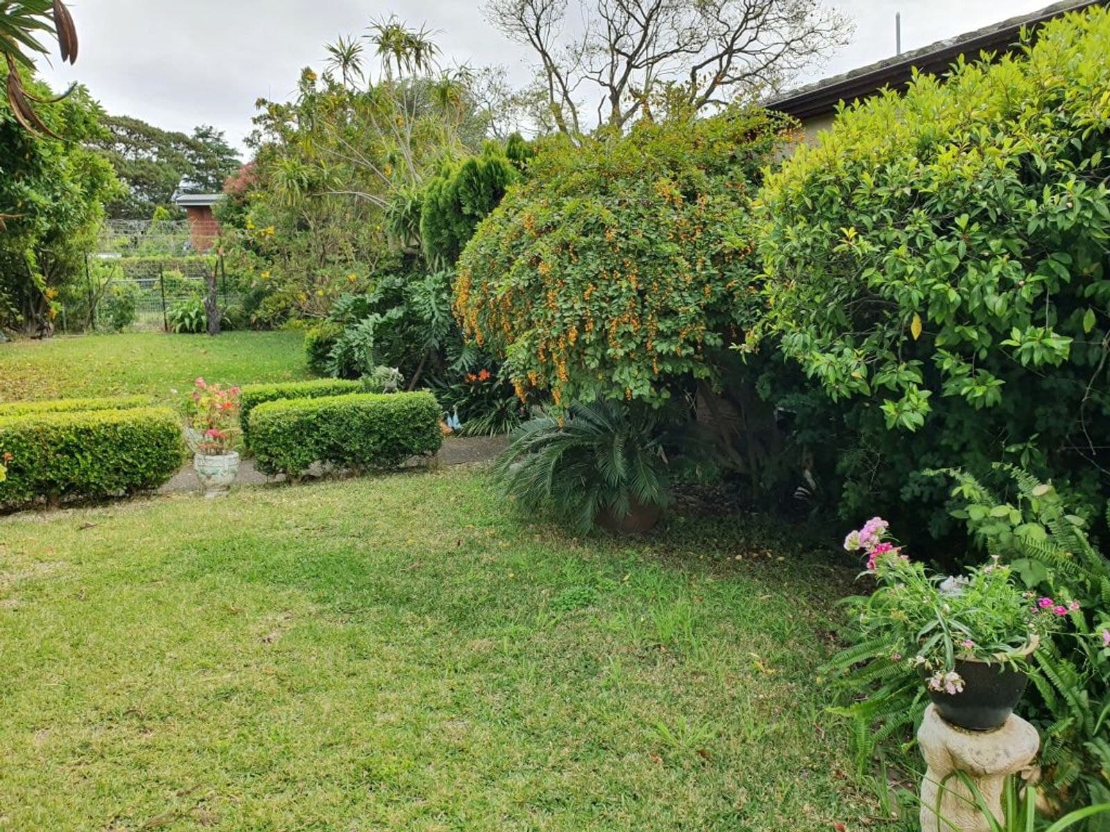 94 Upper William Street, Muswellbrook NSW 2333, Muswellbrook - Thumbnail 4