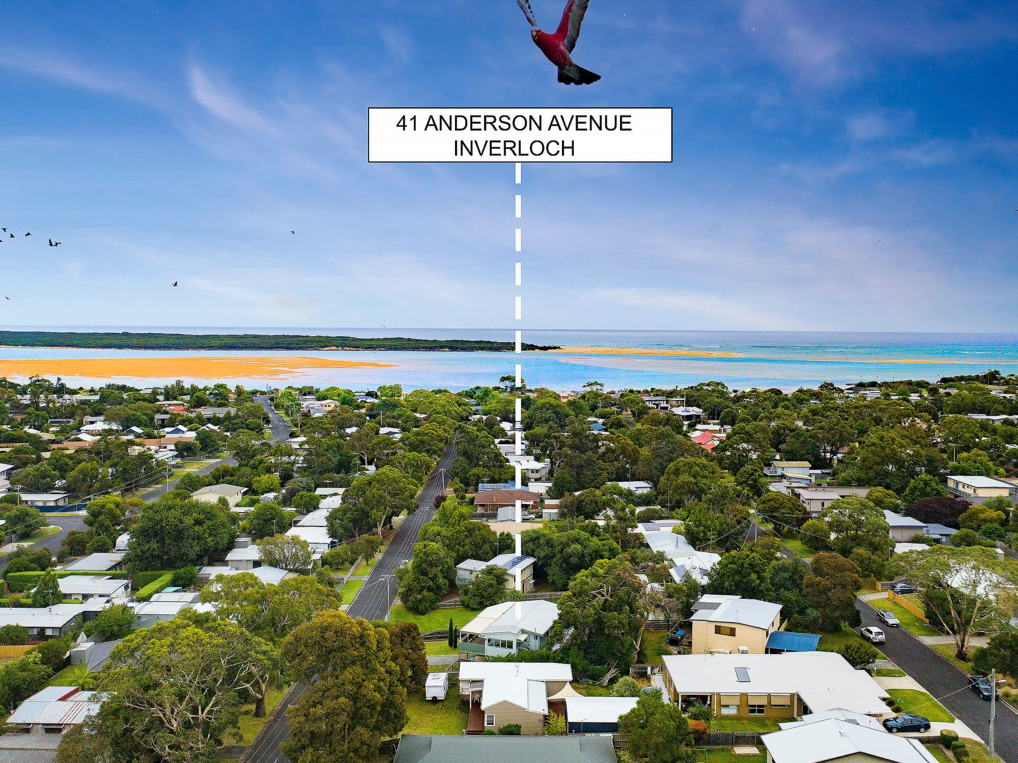 41 Anderson Avenue, Inverloch VIC 3996, Inverloch - Image 1