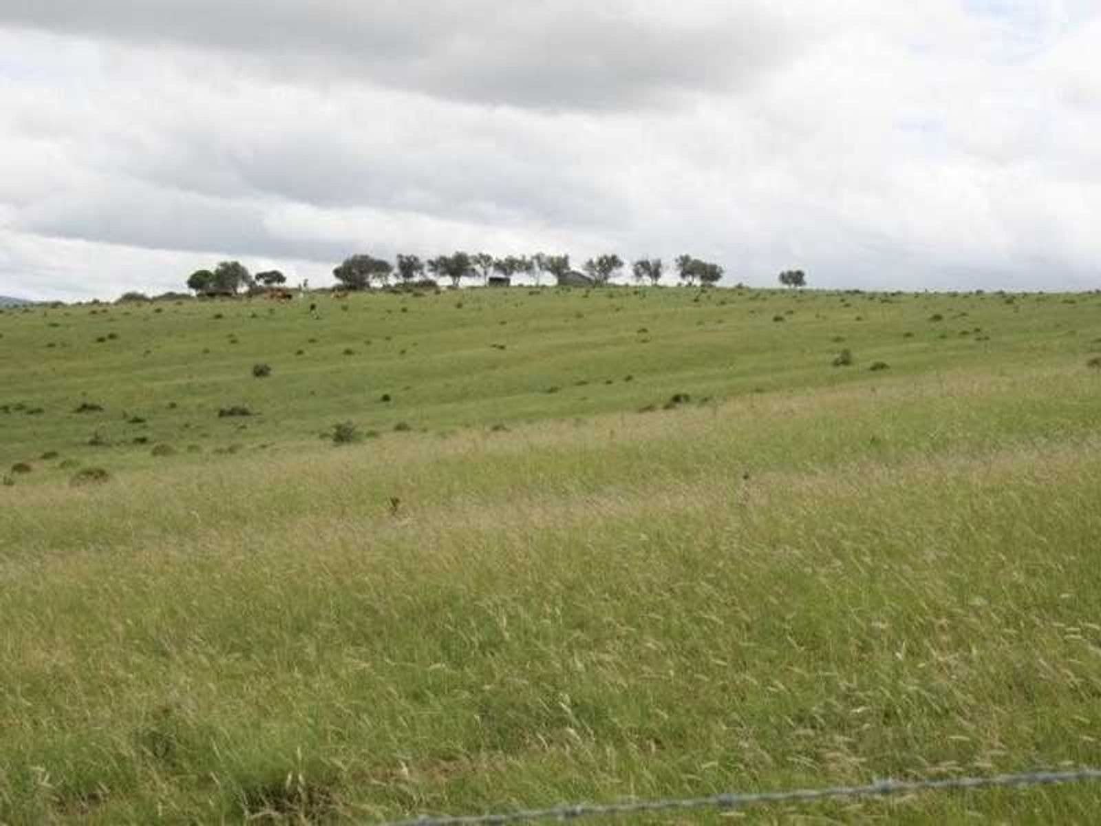 Tannymorel QLD 4372, Tannymorel - Thumbnail 5