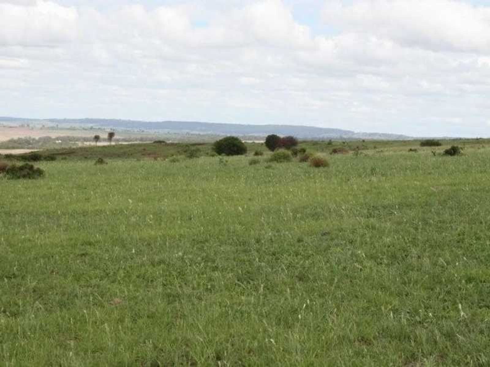 Tannymorel QLD 4372, Tannymorel - Thumbnail 6