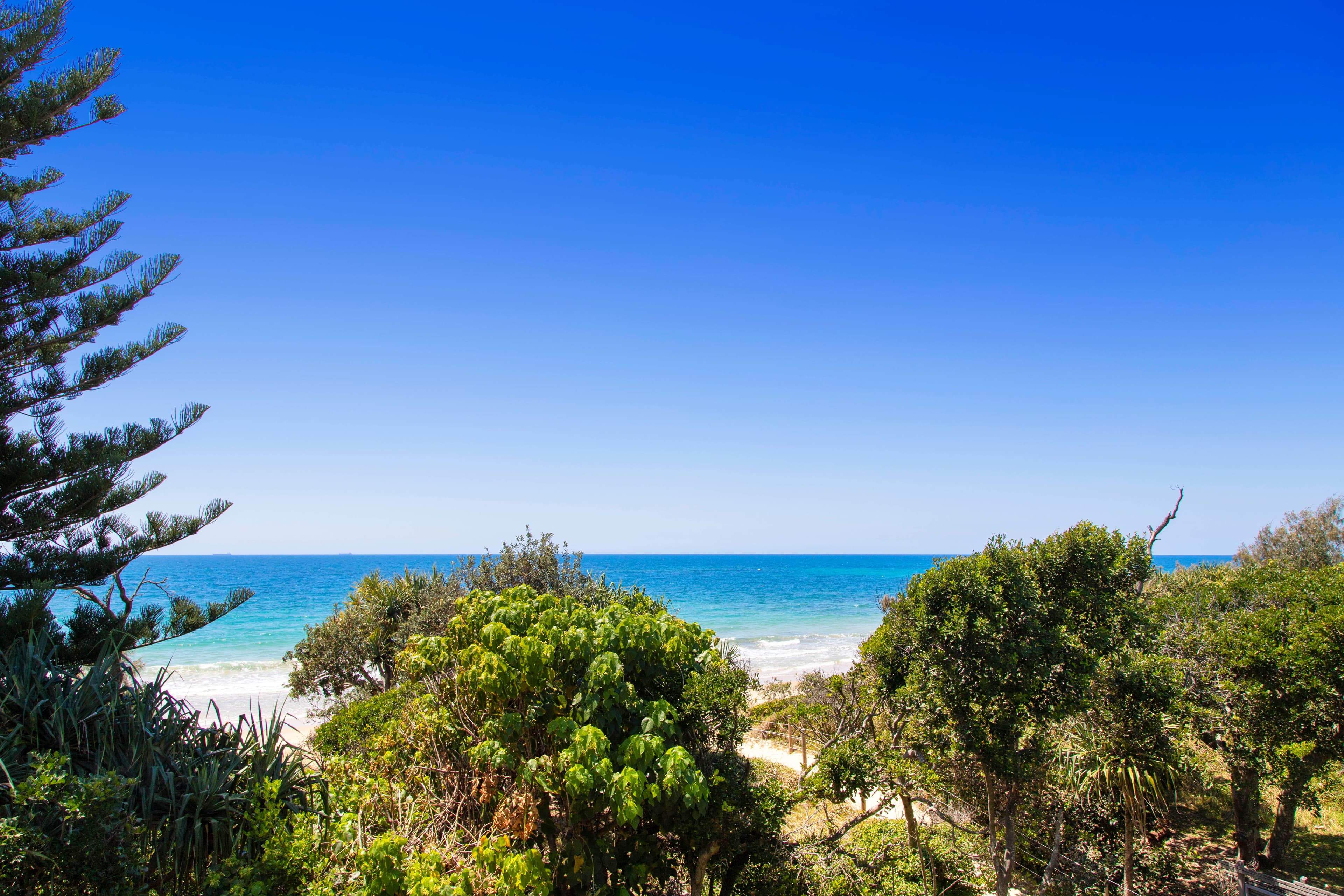 7 Wilson Avenue, Dicky Beach QLD 4551, Dicky Beach - Thumbnail 6