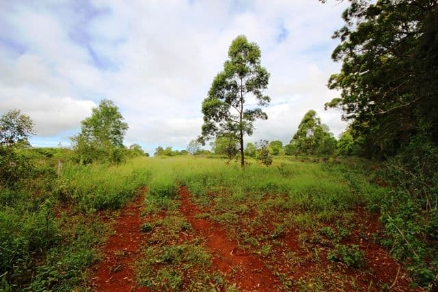 Lot 143 Corcoran Road,, Googa Creek QLD 4314, Googa Creek - Image 1