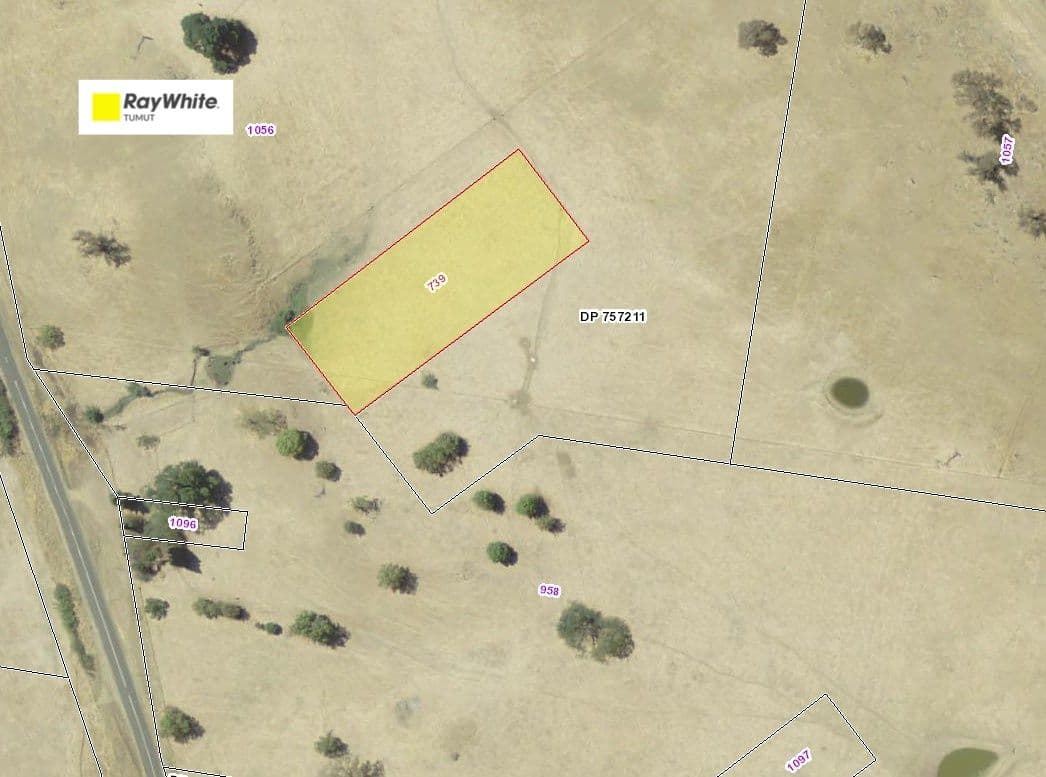 Wondalga Road, Cooleys Creek NSW 2729, Cooleys Creek - Image 1