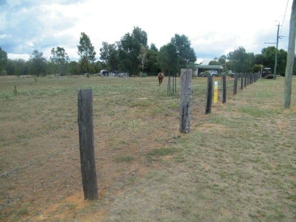 98 Colamba Street, CHINCHILLA QLD 4413, Chinchilla - Thumbnail 7