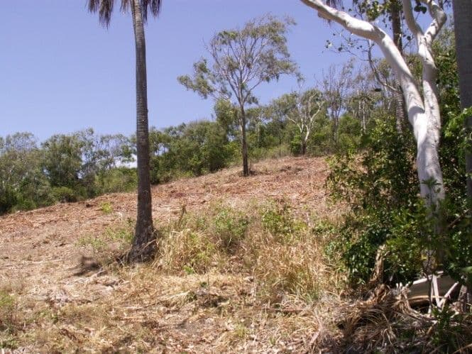 14 Galloway Drive, Ilbilbie QLD 4738, Ilbilbie - Thumbnail 7