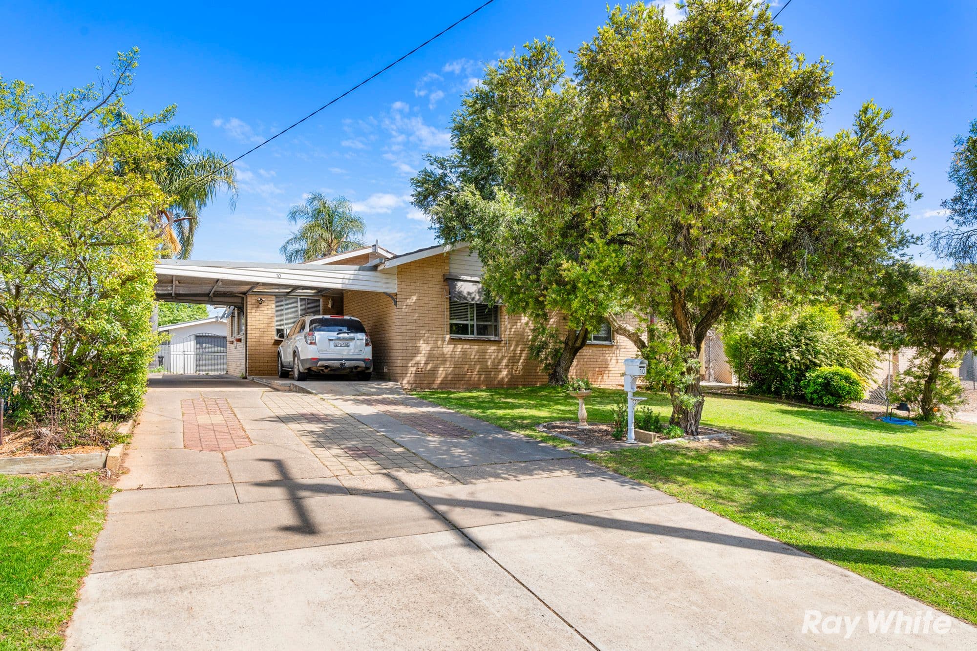 10 Mimosa Drive, Mount Austin NSW 2650, Mount Austin - Image 1