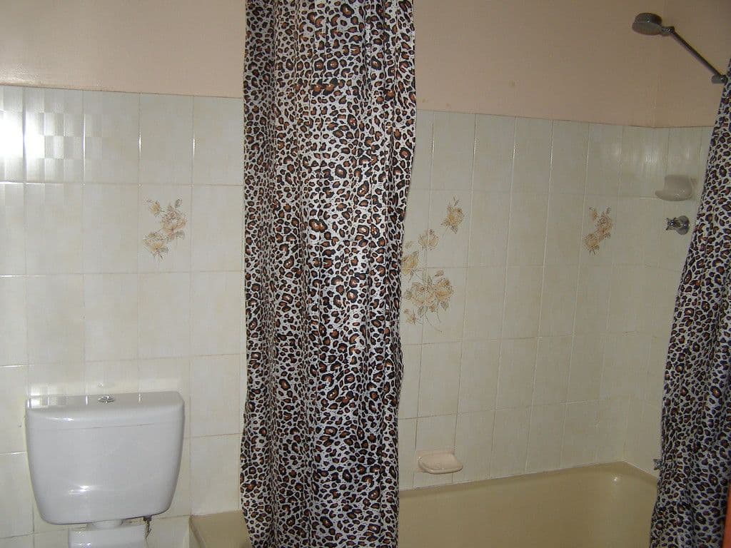 98 Dalton Street, Orange NSW 2800, Orange - Thumbnail 6