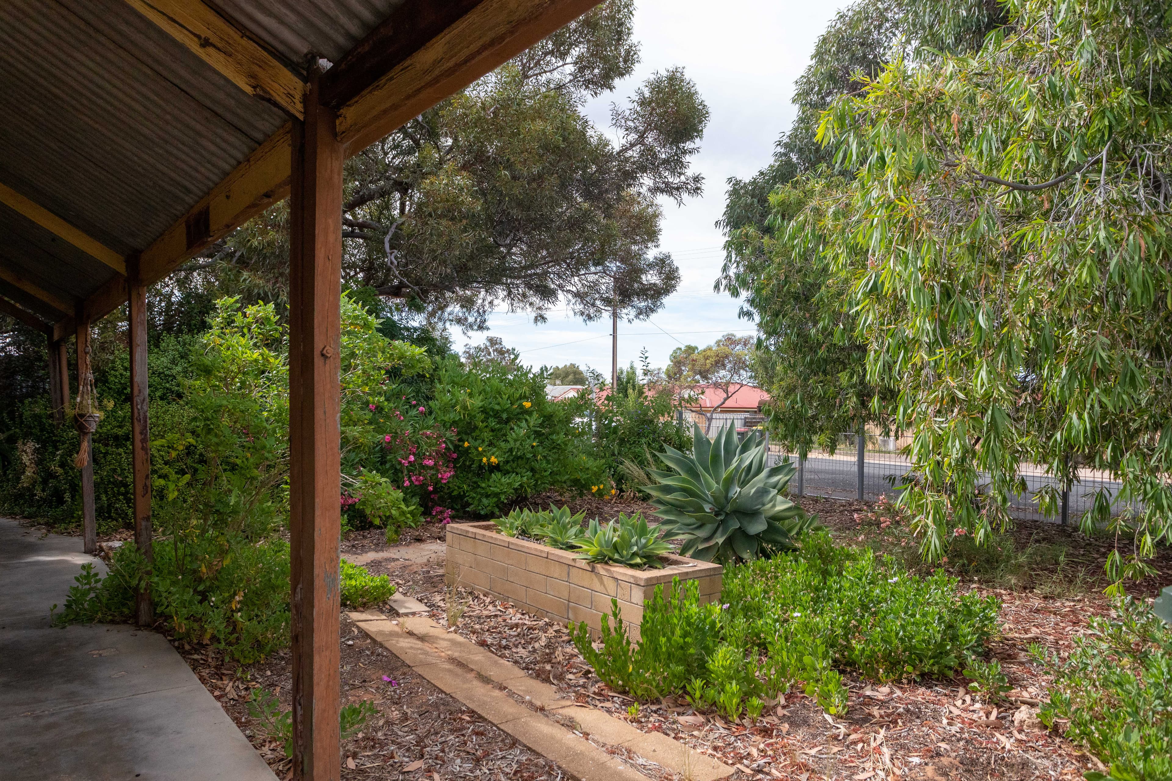 7 Muscat Avenue, Berri SA 5343, Berri - Thumbnail 2