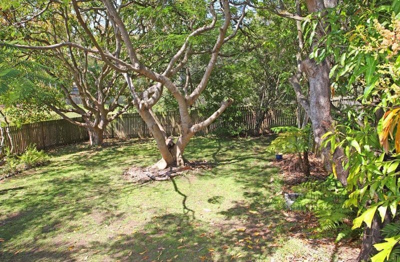 78  Andrew Avenue, TARRAGINDI QLD 4121, Tarragindi - Thumbnail 6