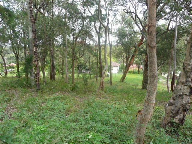 135  Excelsior Parade, TORONTO NSW 2283, Toronto - Thumbnail 3