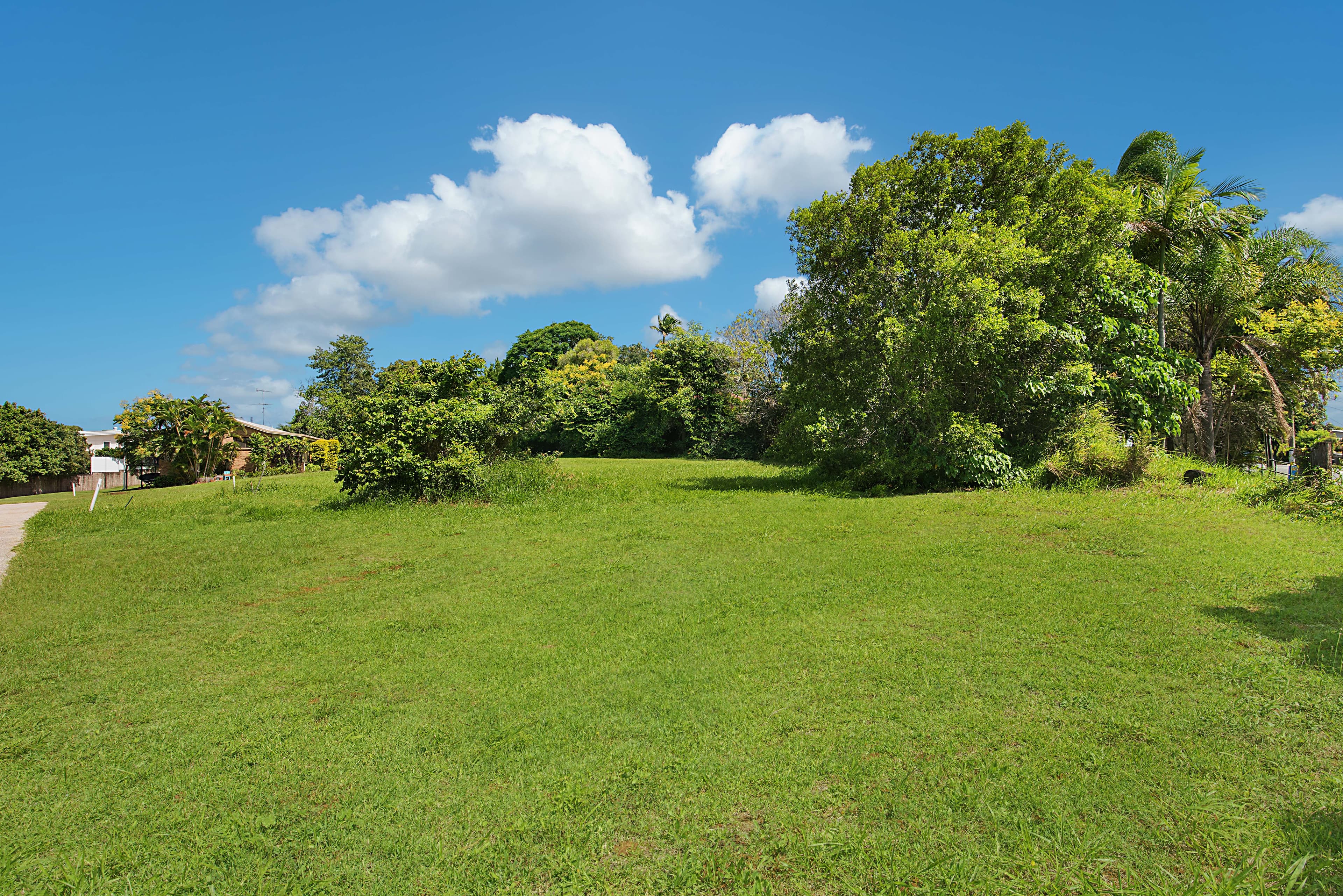 18 Orme Road, Buderim QLD 4556, Buderim - Thumbnail 4