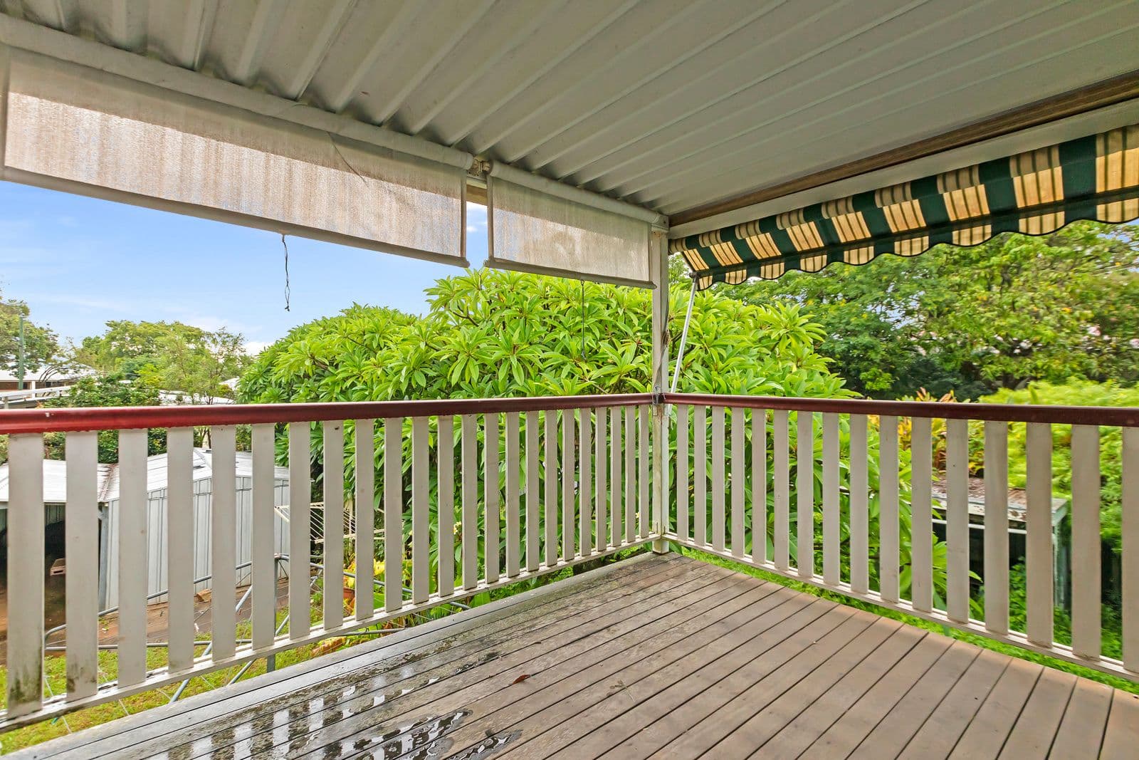 41 Cosker Street, Annerley QLD 4103, Annerley - Thumbnail 8