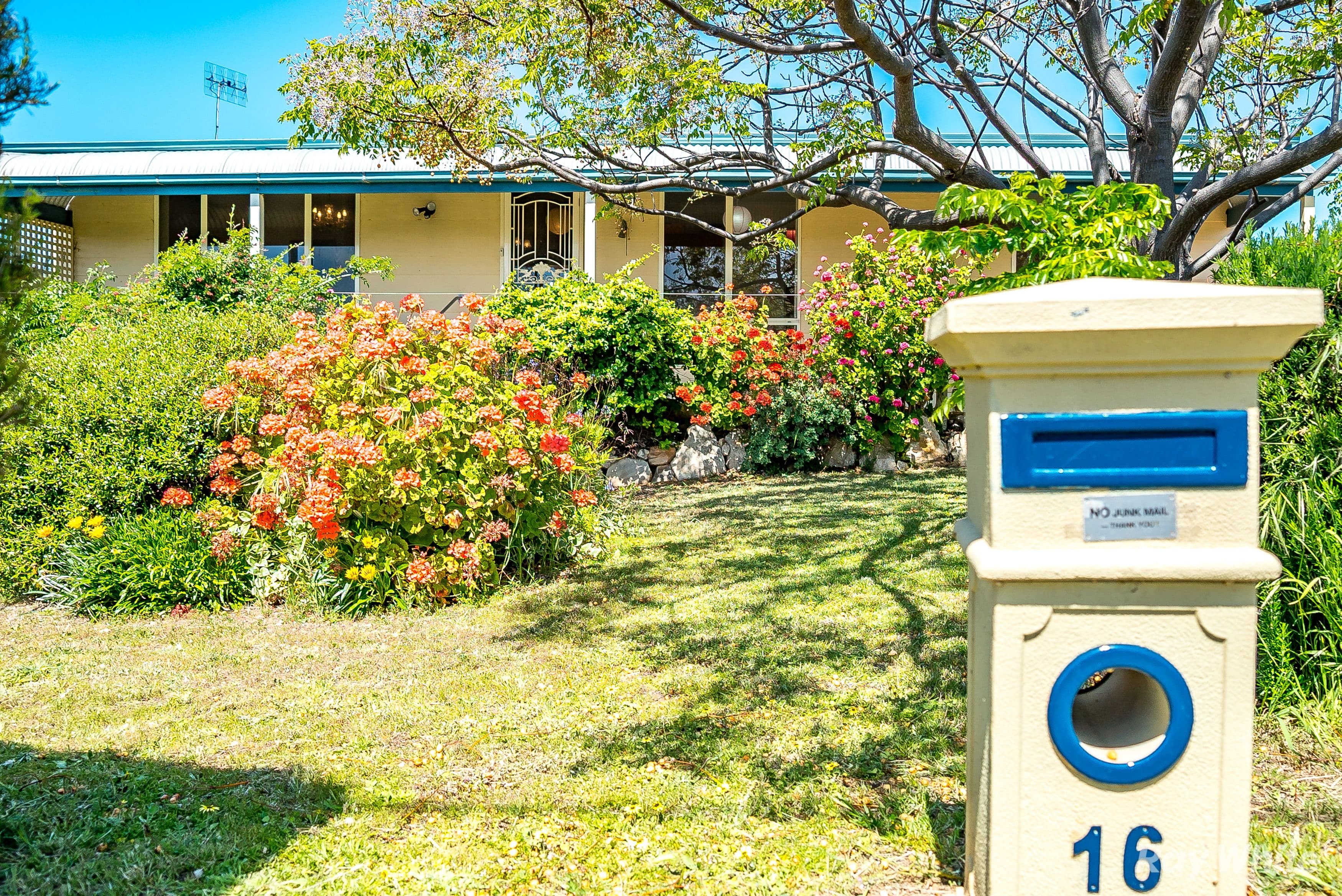 16 Godfrey Street, Goolwa Beach SA 5214, Goolwa Beach - Thumbnail 4