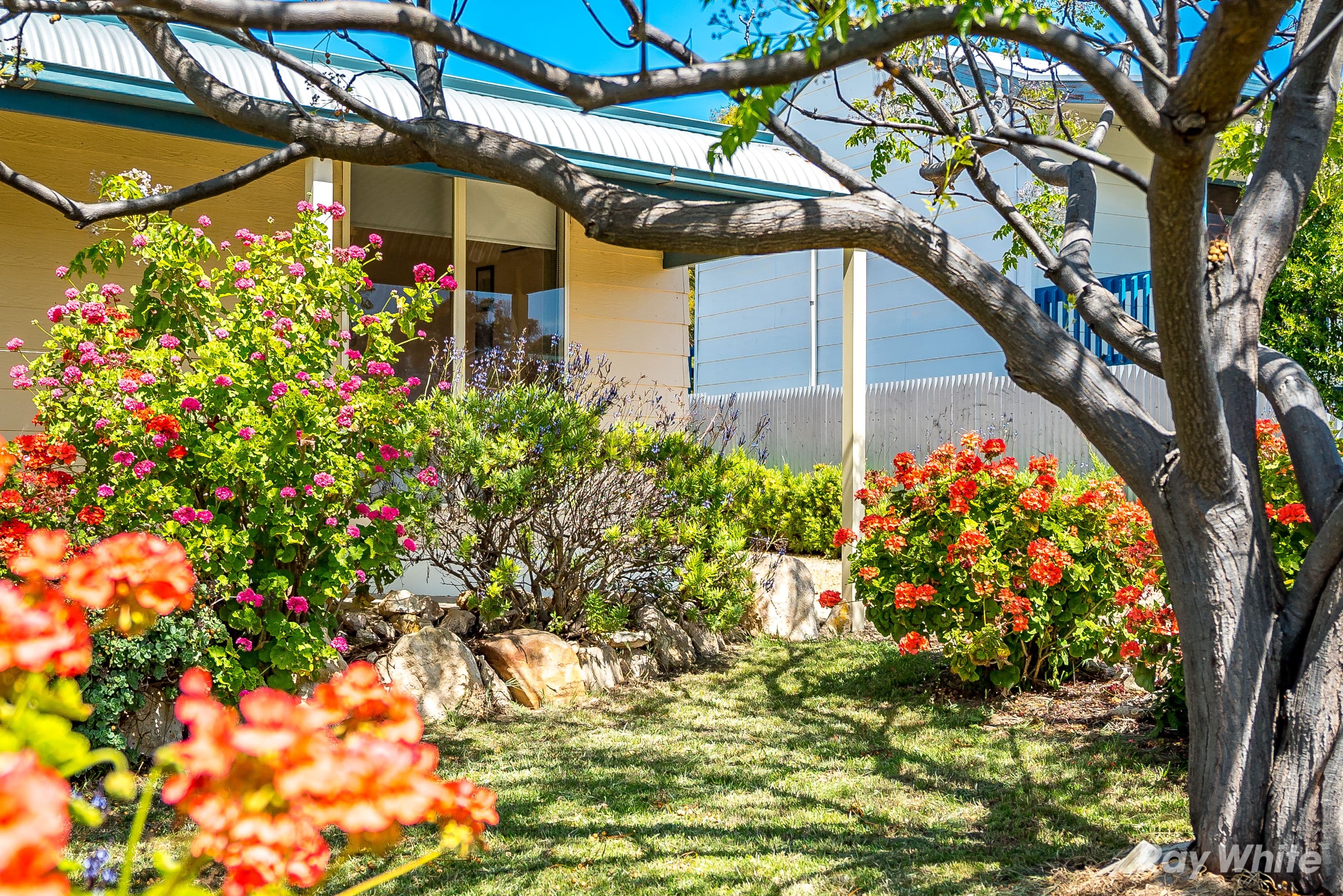 16 Godfrey Street, Goolwa Beach SA 5214, Goolwa Beach - Thumbnail 7
