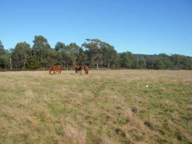 38 Whites Road, BEACONSFIELD TAS 7270, Beaconsfield - Thumbnail 2