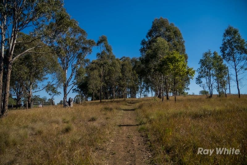 44 Ellandgrove Road, Elland NSW 2460, Elland - Thumbnail 4