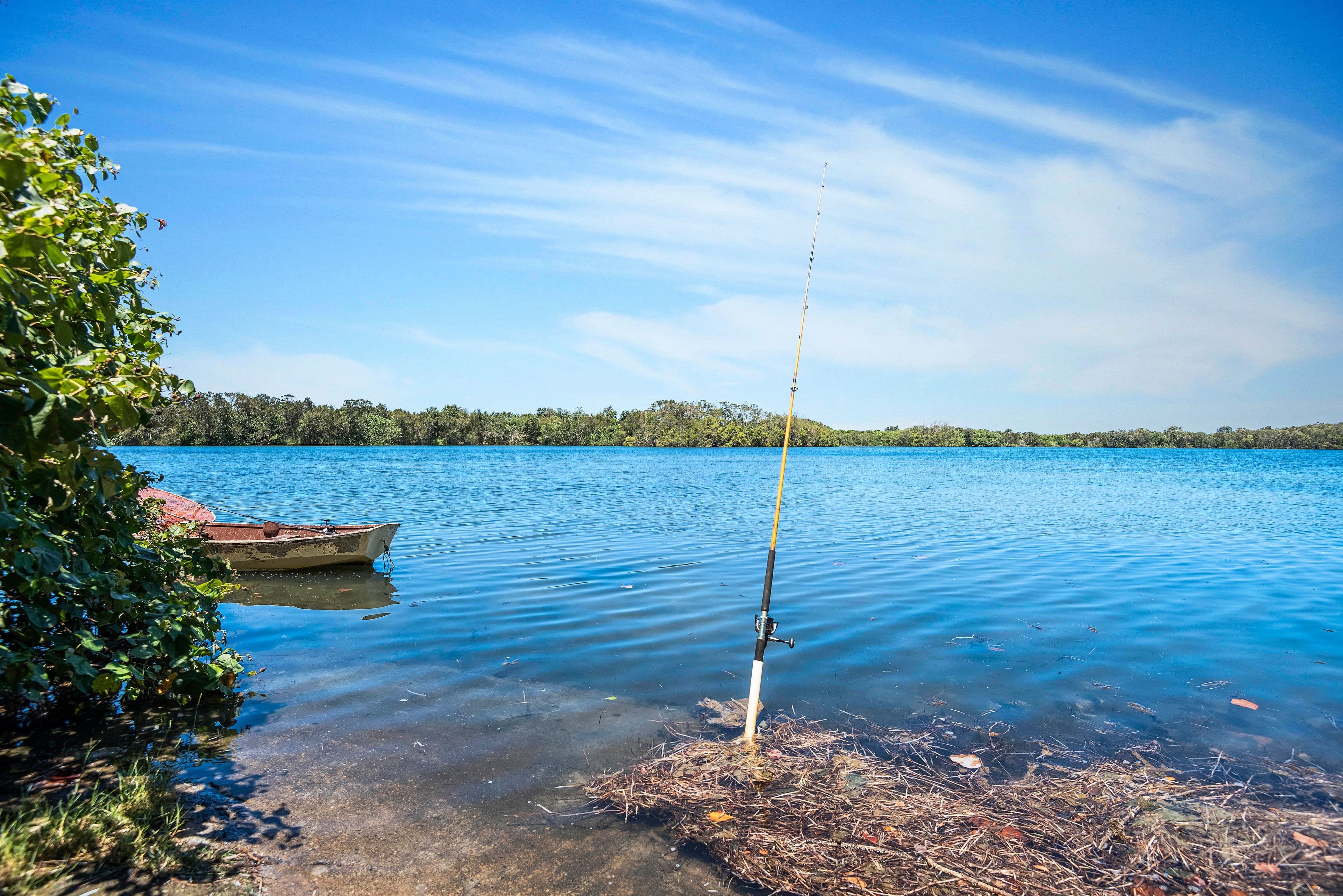 31 Fingal Road, Fingal Head - Thumbnail 3