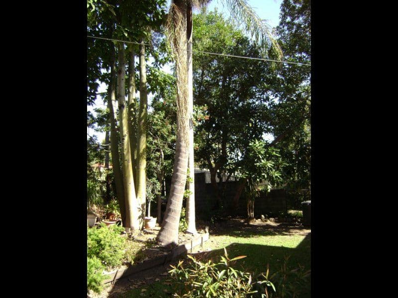 1100 Boundary Road, COOPERS PLAINS QLD 4108, Coopers Plains - Thumbnail 8