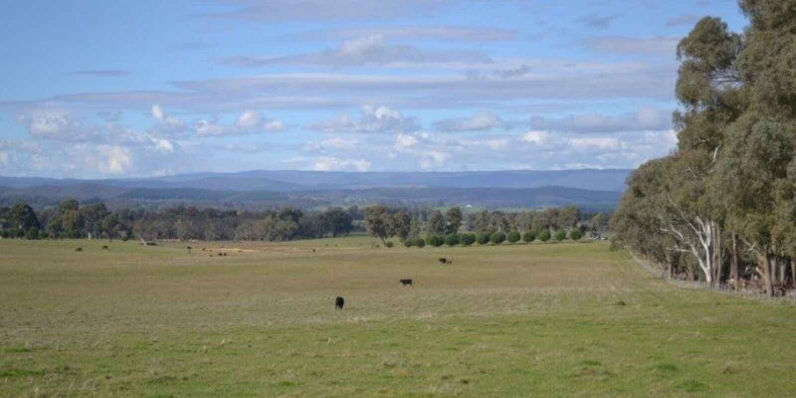 Lot 74 Craven Road Rosewood, Rosewood - Image 1