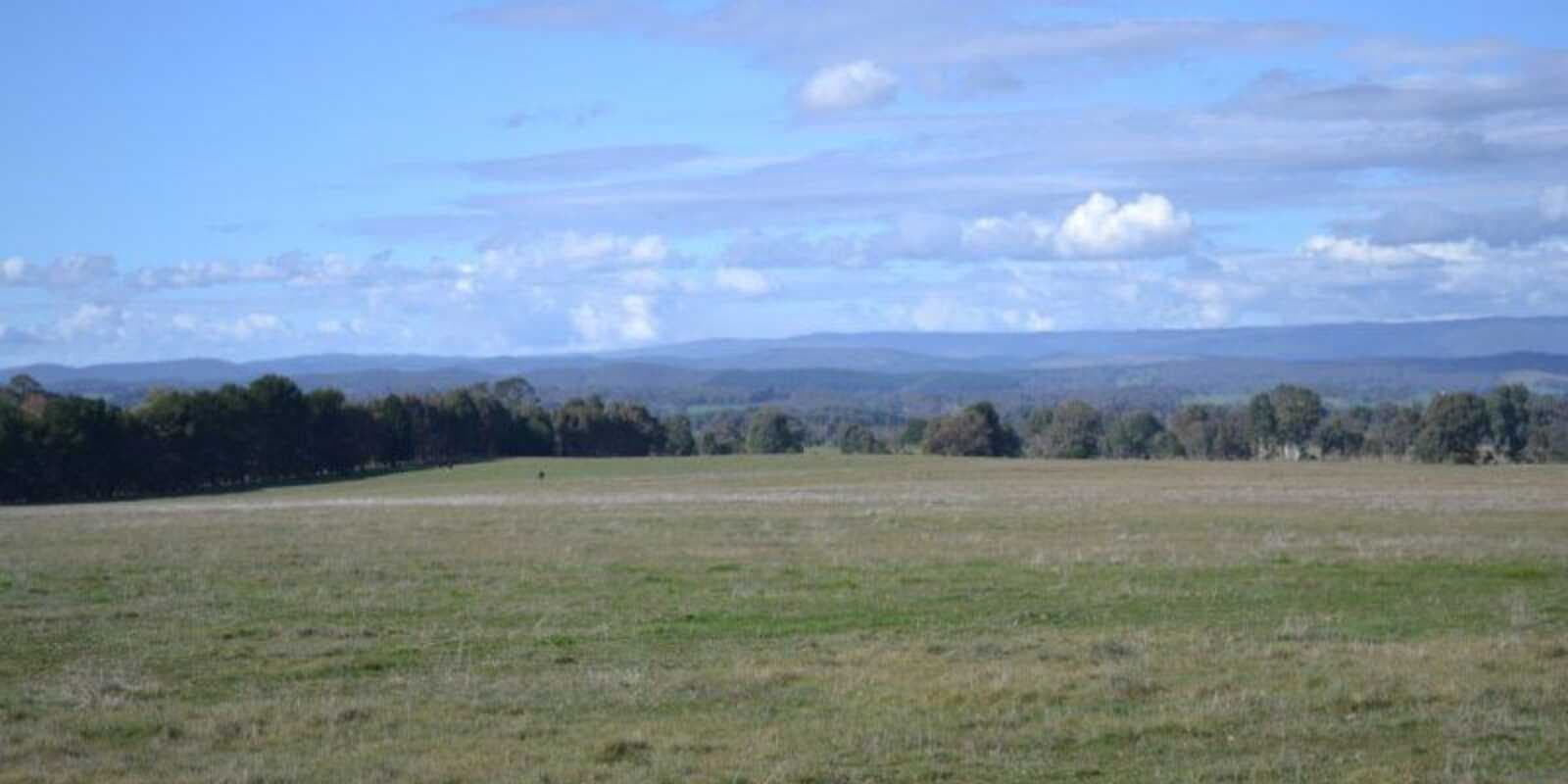 Lot 74 Craven Road Rosewood, Rosewood - Thumbnail 5