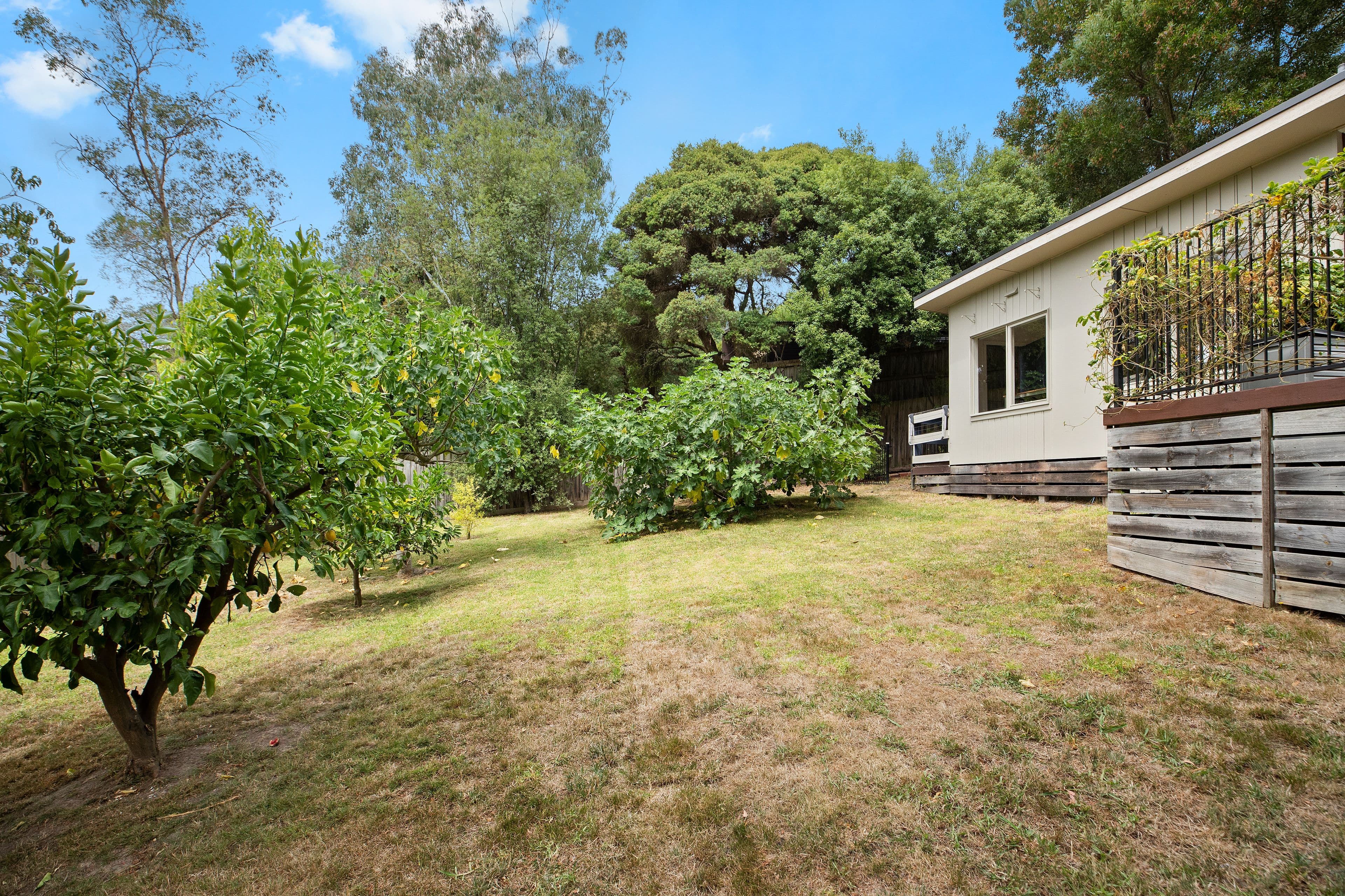 12 Ross Avenue, The Basin VIC 3154, The Basin - Thumbnail 8