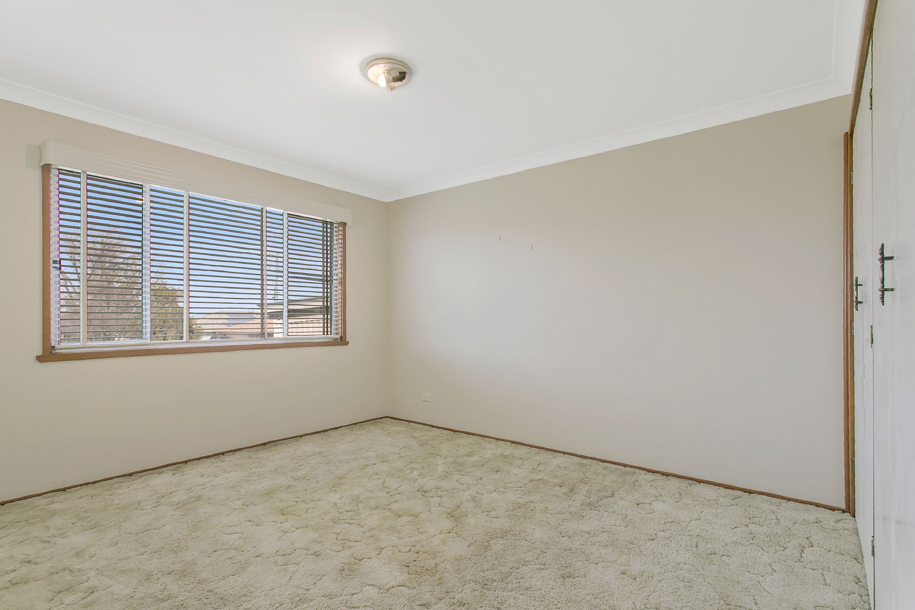 22 Wright Street, Tamworth NSW 2340, Tamworth - Thumbnail 7