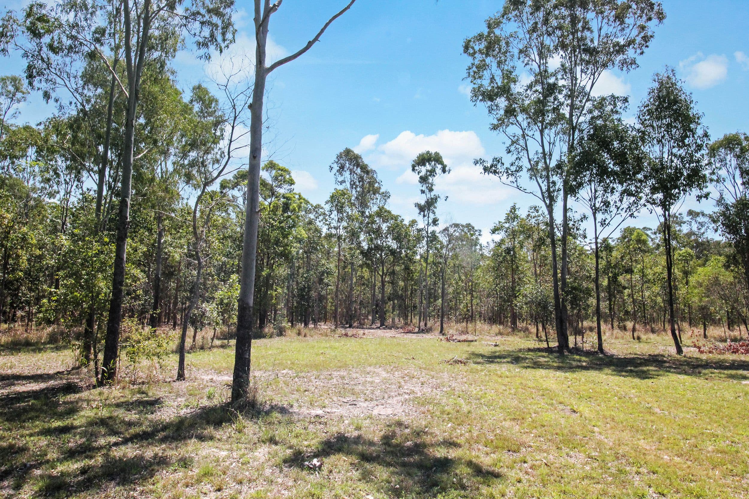 208 Ballantyne Road, Captain Creek QLD 4677, Captain Creek - Thumbnail 4