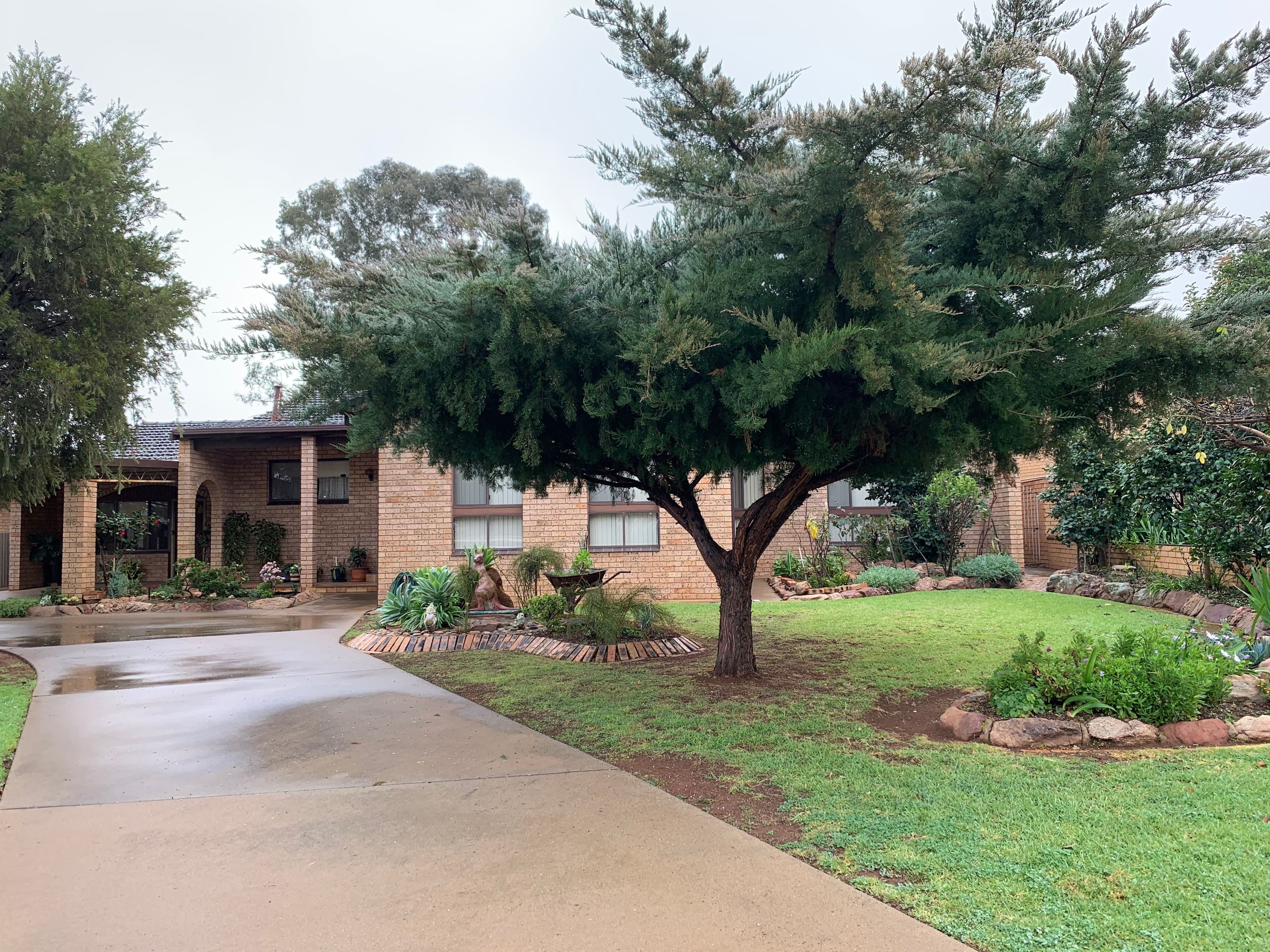 96 Blumer Avenue, Griffith NSW 2680, Griffith - Image 1