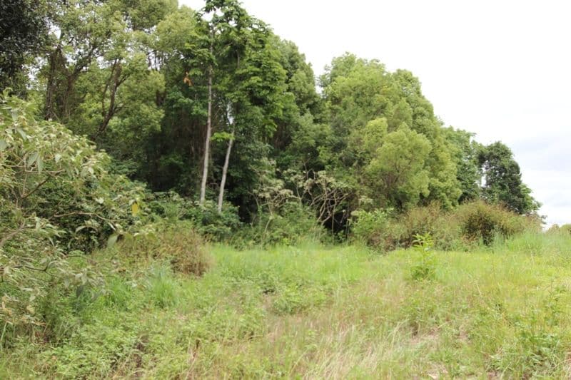137 Leeson Road, Whian Whian NSW 2480, Whian Whian - Thumbnail 3