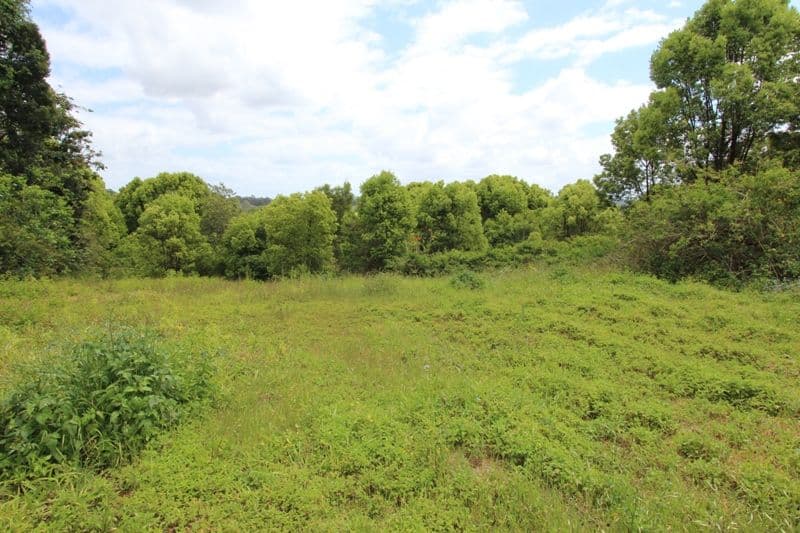 137 Leeson Road, Whian Whian NSW 2480, Whian Whian - Thumbnail 4