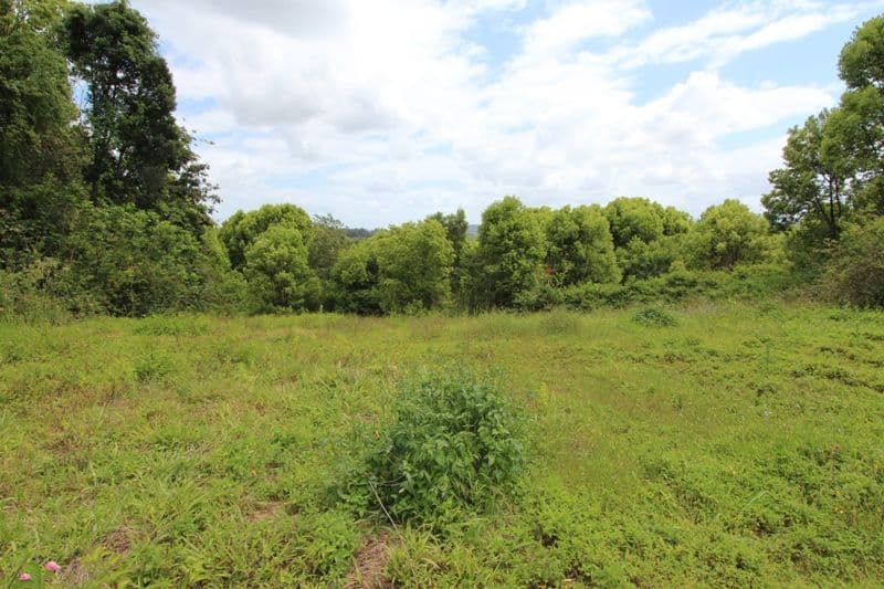 137 Leeson Road, Whian Whian NSW 2480, Whian Whian - Thumbnail 8
