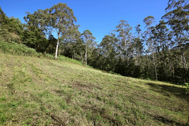 265 Bundewallah Road, Bundewallah NSW 2535, Bundewallah - Image 1