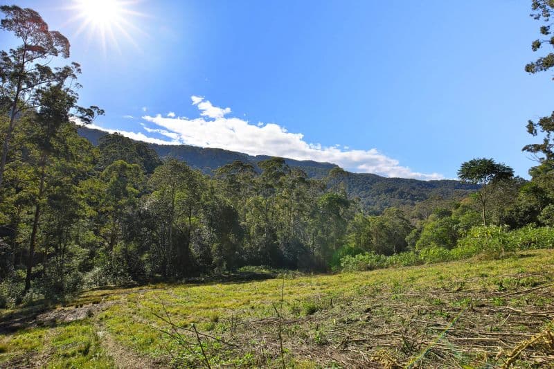 265 Bundewallah Road, Bundewallah NSW 2535, Bundewallah - Thumbnail 3